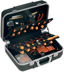 Professional tool and service case